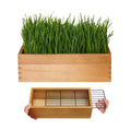 Wooden Cat Grass Planter (no Seeds Included) Anti Digging Design | with Potting Soil Disks, Anti-Digging Grid and
