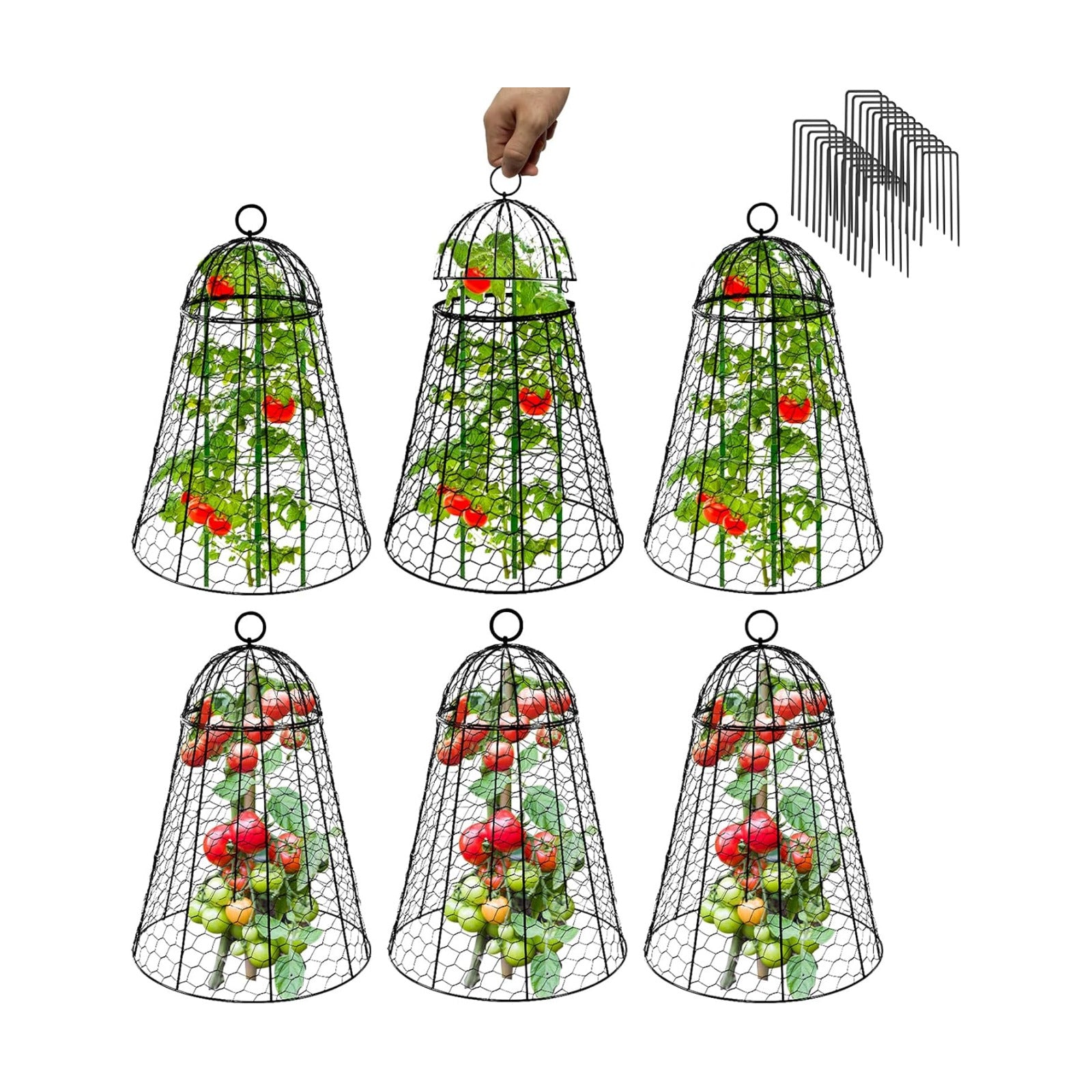Garden Cloches for Plants Extra Large Sapbontchi Garden Cloche Chicken Wire Cloche for Plants Cages Cover Plant
