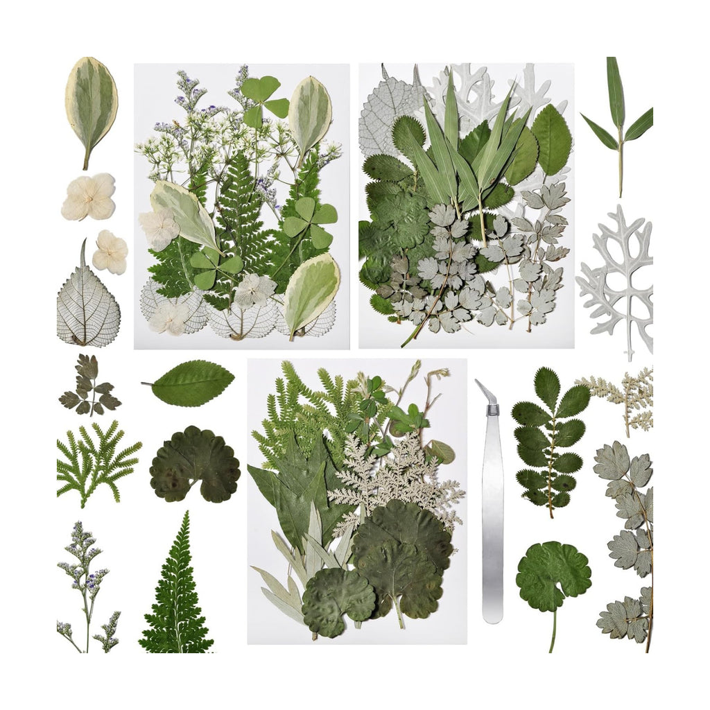 63 Pcs Pressed Leaves, 21 Styles Dried Flowers for Resin