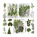 63 Pcs Pressed Leaves, 21 Styles Dried Flowers for Resin