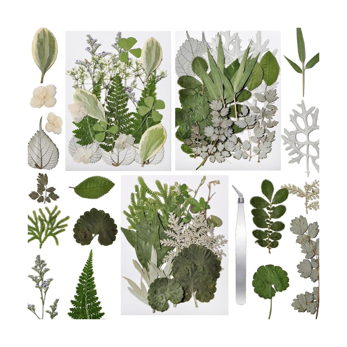 63 Pcs Pressed Leaves, 21 Styles Dried Flowers for Resin