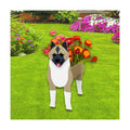 American Akita Dog Planter Pots, Animal Shaped Flower Pot | Cute Plant Gift for Women and Pet Lovers, Indoor Outdoor