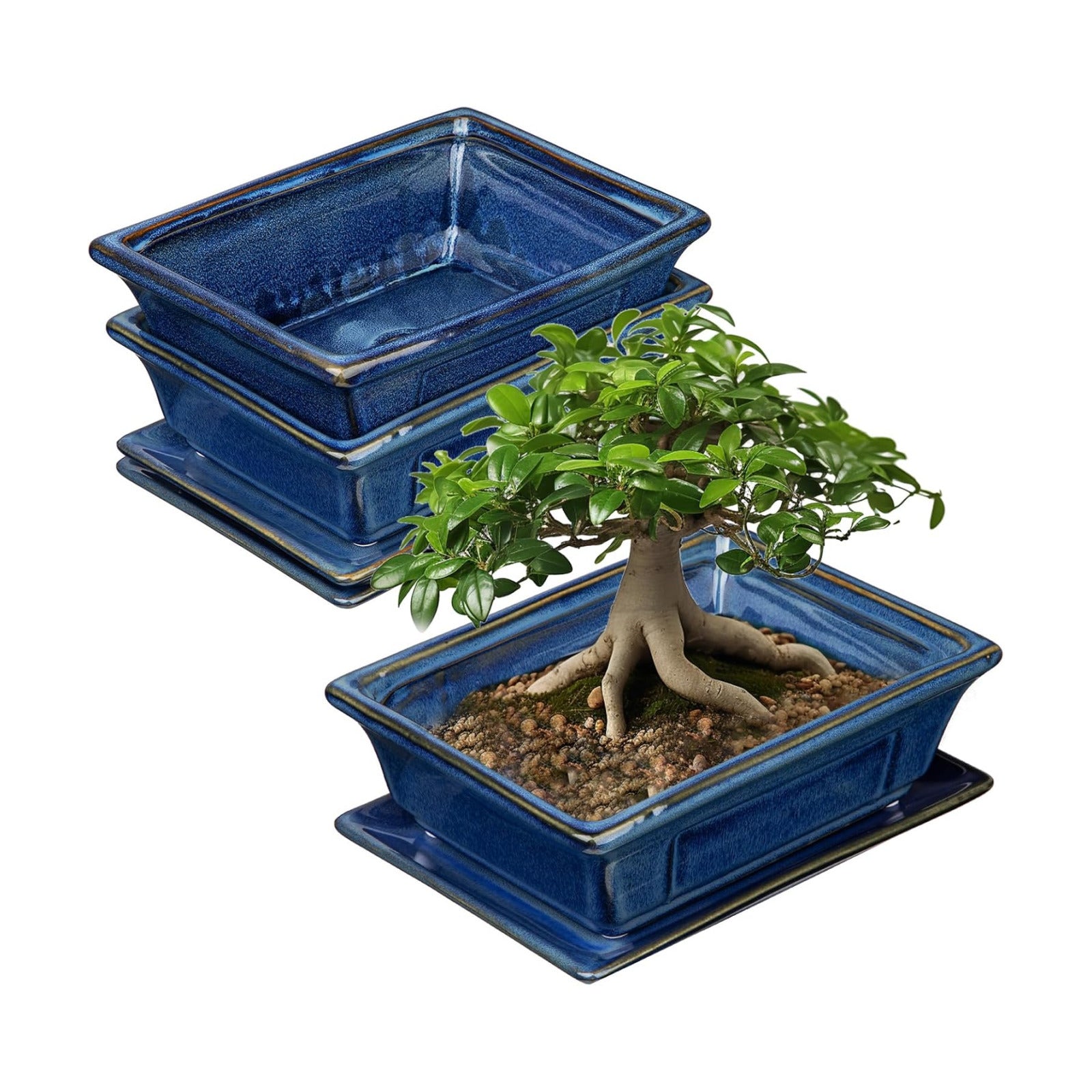 Villa Como Set of 2 Bonsai Pots with Drainage Tray, 7.5" Bonsai Planters | Blue Glazed Ceramic Bonsai Tree Pots