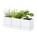 D'vine Dev 3-Pack Plastic Herb Planter Pots, 4 in, White, 76-Y-A3-1