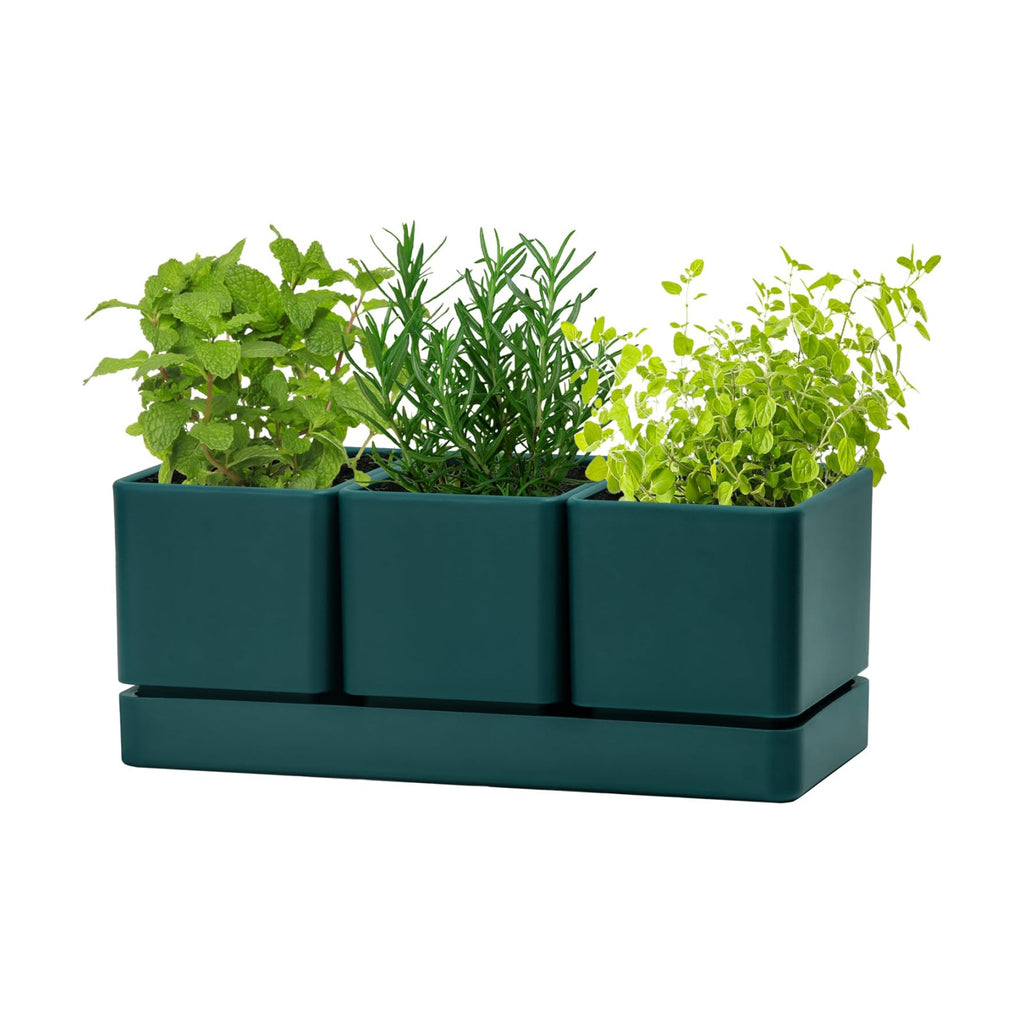 D'vine Dev Plastic Herb Garden Planter Set, Green, 76-V-C-1