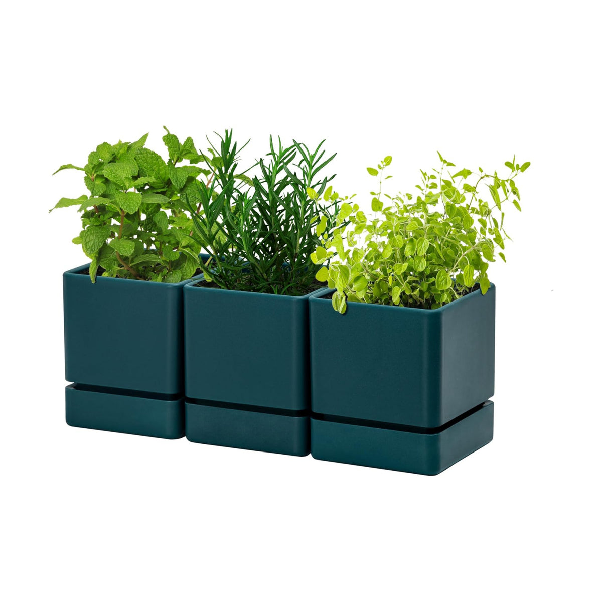 D'vine Dev 3-Pack Plastic Herb Planter Pots, 4 in, Green, 76-Y-C-1