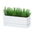 D'vine Dev Rectangular Planter, 12 x 4.5 in, White, Set of 1, 76-X-A-1