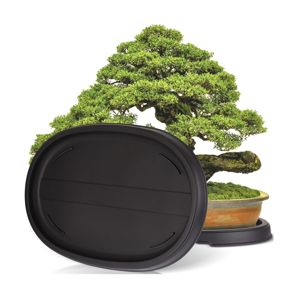 Pinkunn 2 Pcs Bonsai Humidity Drip Tray for Plants,16.3 x 10.8 Inch | Plastic Plant Water Catcher, Oval Plant Saucers