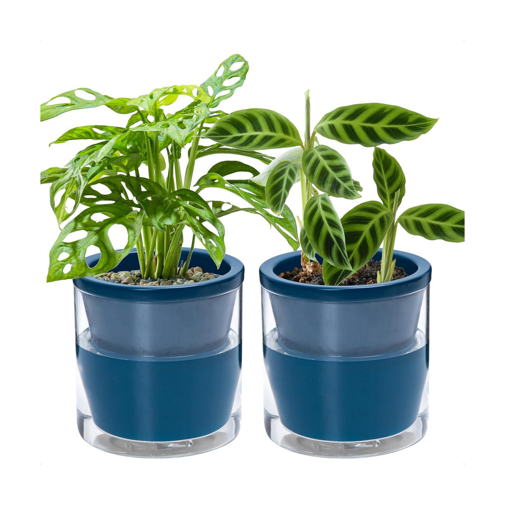 D'vine Dev Self-Watering Blue Terracotta Planter, 6 in, 2-Pack, 37-Y-B-4