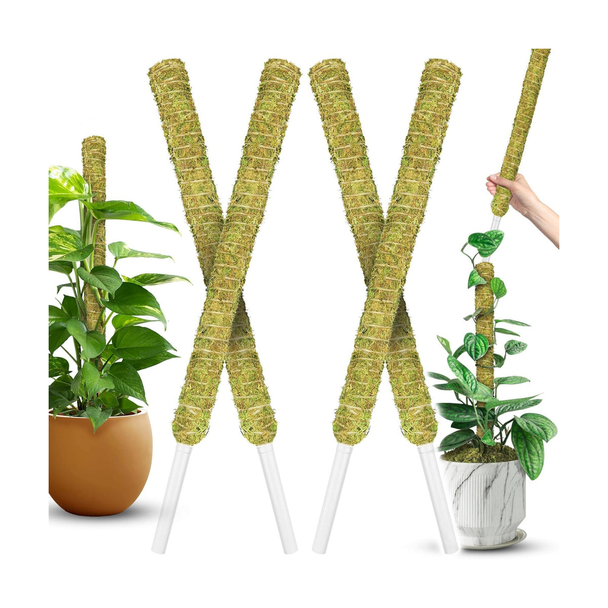 DUSPRO 4 Pack 22" Natural Stackable Moss Pole for Plants Monstera