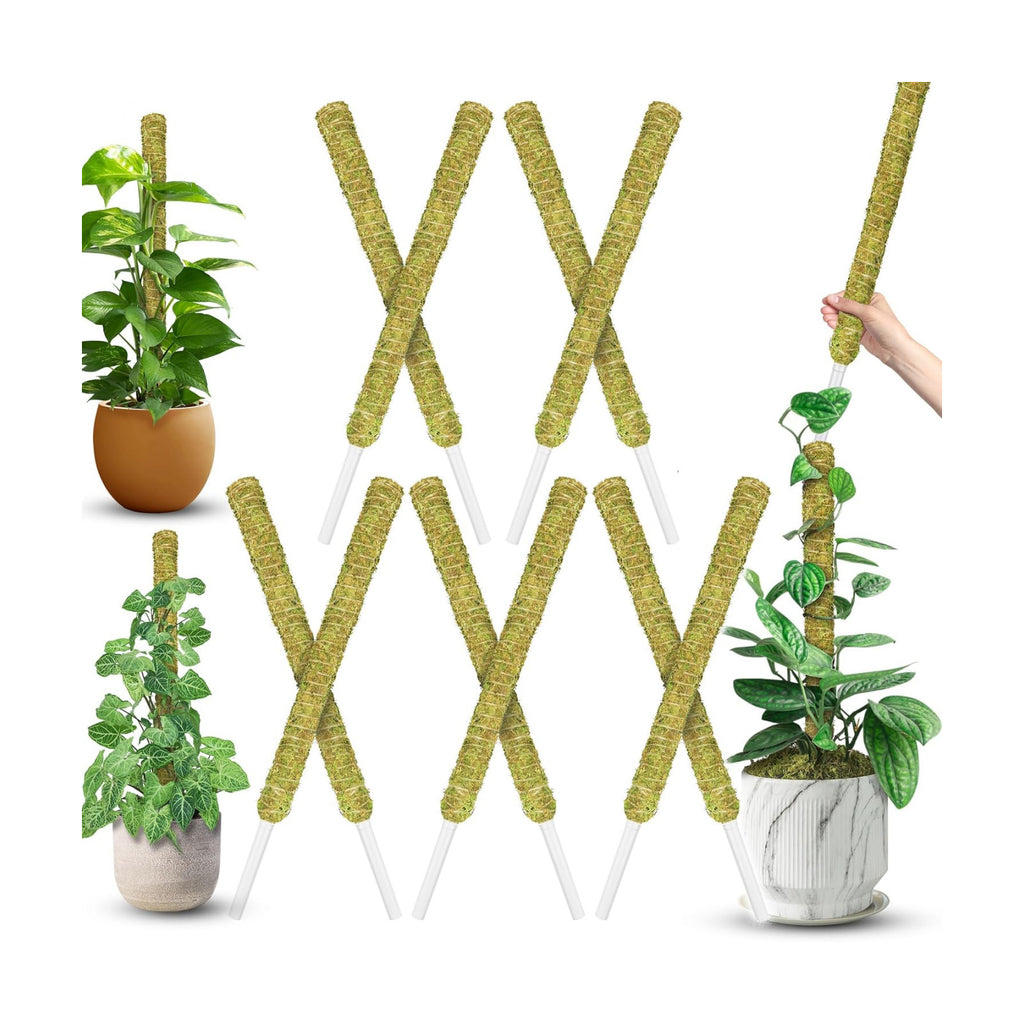 DUSPRO 10Pcs 22'' Natural Stackable Moss Pole for Plants Monstera