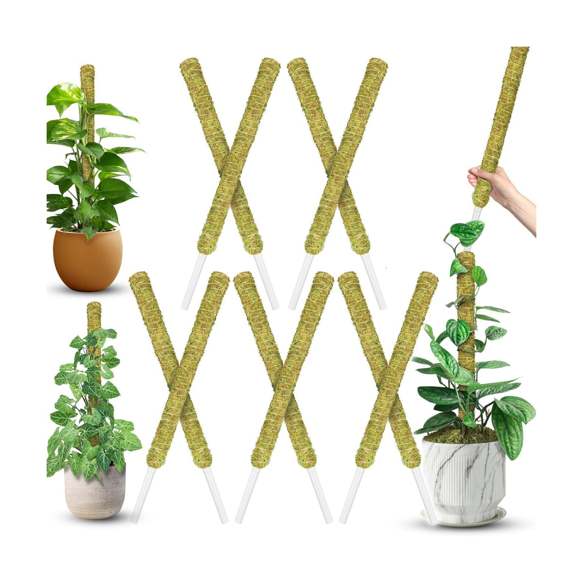 DUSPRO 10Pcs 22'' Natural Stackable Moss Pole for Plants Monstera