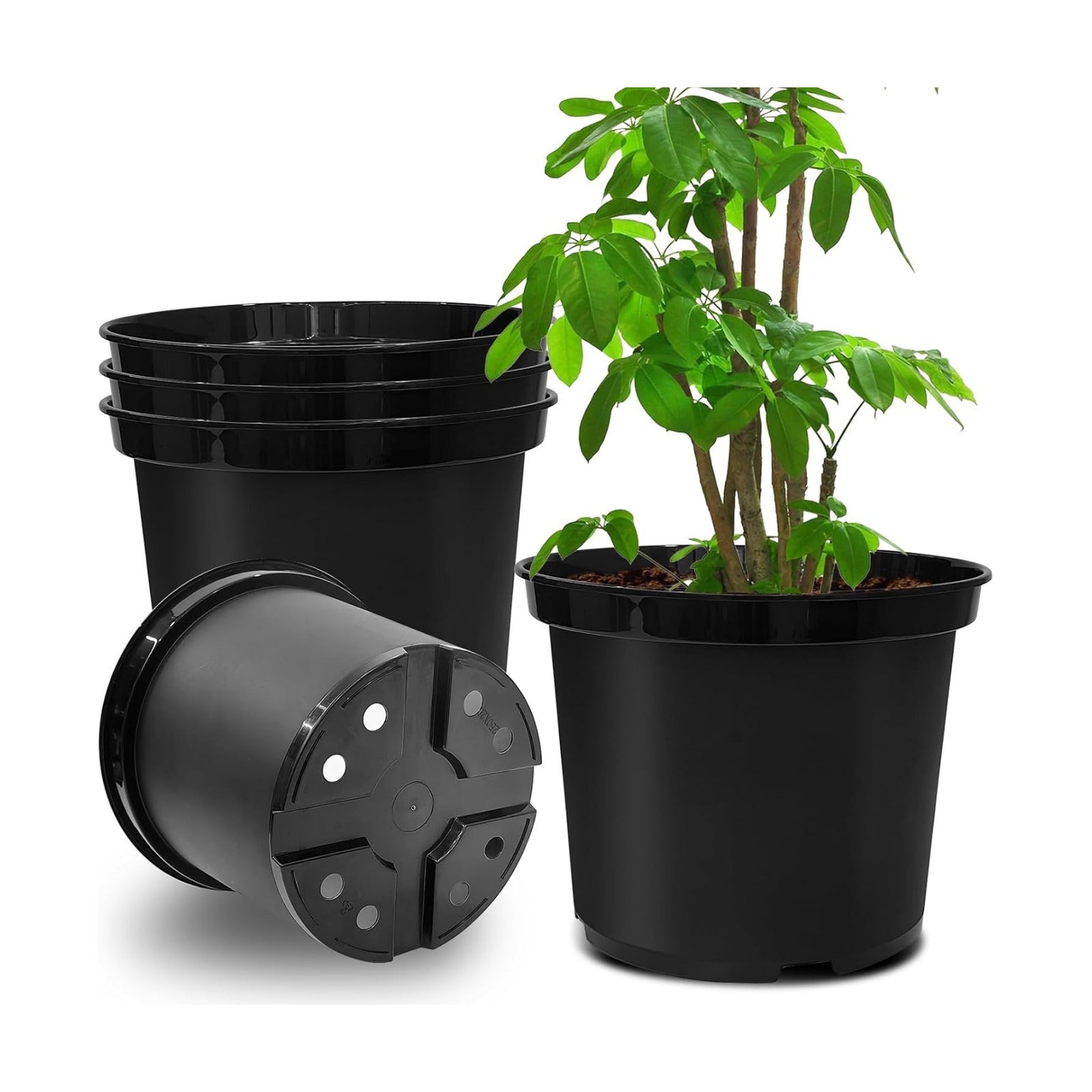 RooTrimmer 5 Gallon 12 Inch Plastic Nursery Pots, Plant Containers with Drainage Holes, Round Sturdy Garden Planters