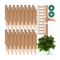 Yinder 50 Pcs Moss Pole for Plants Monstera Plant Support 16.5 Inch Coir Poles Bendable Monstera Plant Support with 10