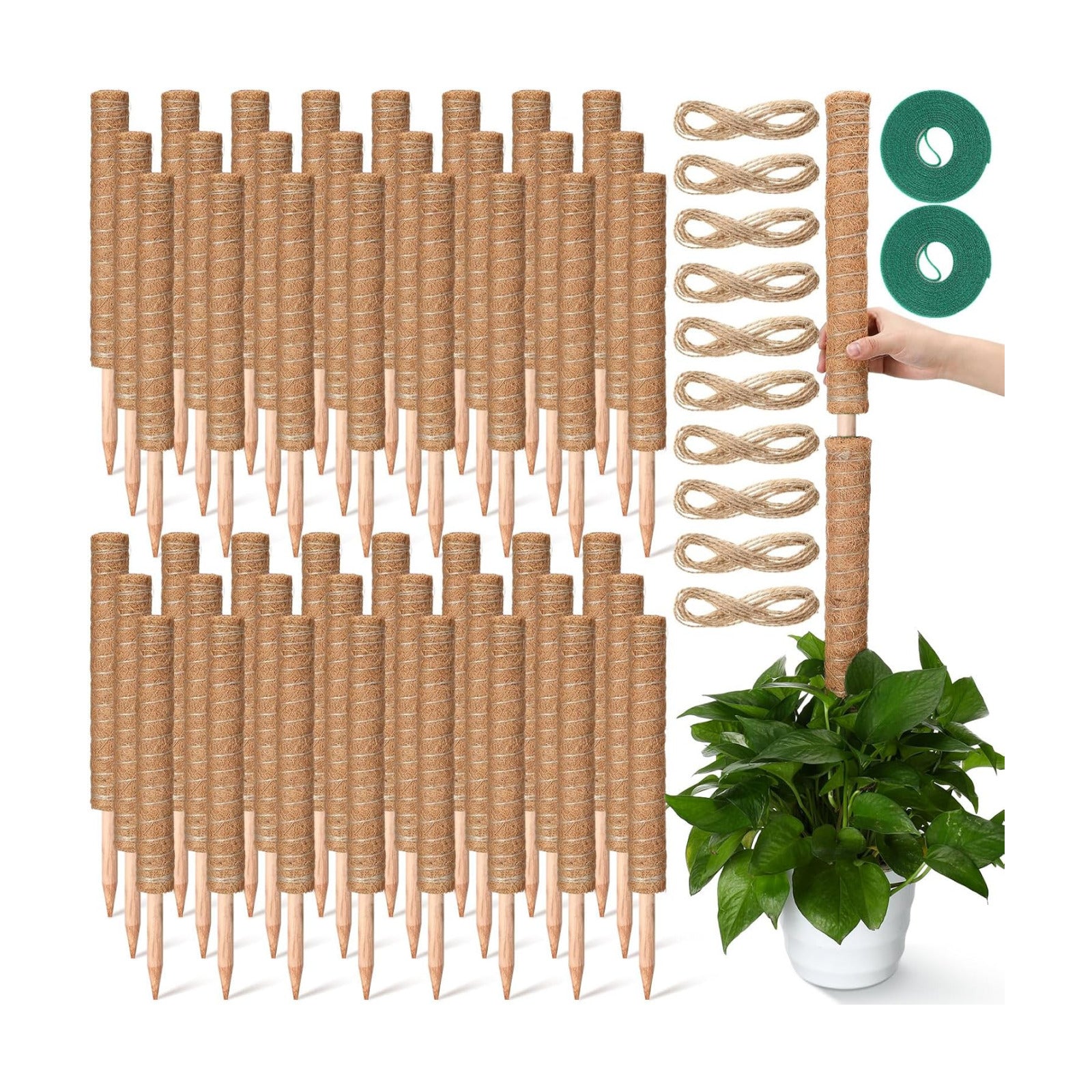 Yinder 50 Pcs Moss Pole for Plants Monstera Plant Support 16.5 Inch Coir Poles Bendable Monstera Plant Support with 10