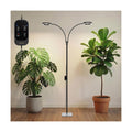 Grow Lights for Indoor Plants,Full Spectrum Plant Light with Stand | 36W Floor Grow Light with Adjustable Height