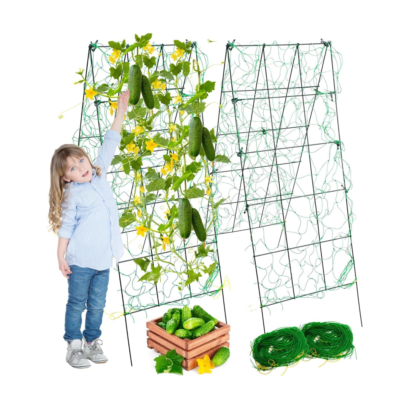 Pack 2 Heavy Metal Garden Trellis for Climbing Plants with Trellis Netting & Garden Clips, A-Frame Cucumber Trellis for