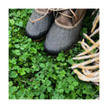 Mountain Valley Seed Co Micro Clover Seed for Lawn - 1 Lb - 400,000 | Microclover Seeds for Planting - Drought-Tolerant