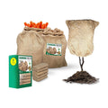 Heavy Duty Reusable Burlap Sacks 32" X 40" – Perfect Burlap Sack for Plants, Winter Plant Covers, Vegetable Storage &