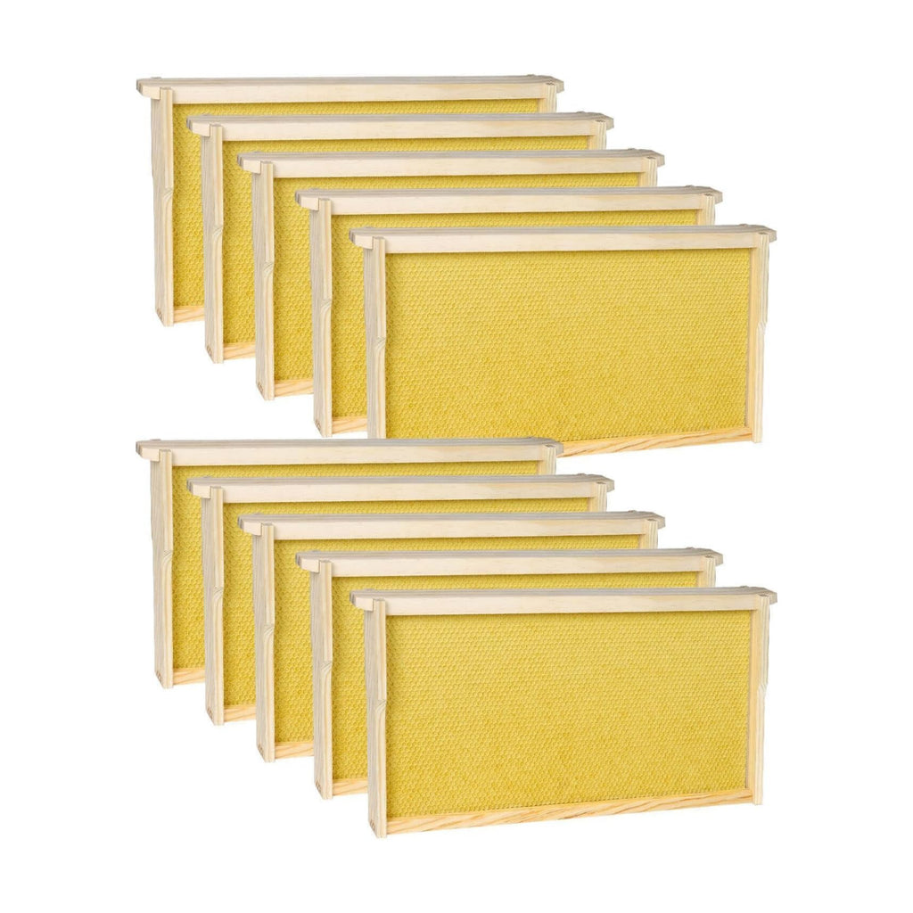 10 Pack Bee Frames Deep - Bee Hive Frames and Wax Foundations Yellow Beehive Frams