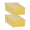 10 Pack Bee Frames Deep - Bee Hive Frames and Wax Foundations Yellow Beehive Frams