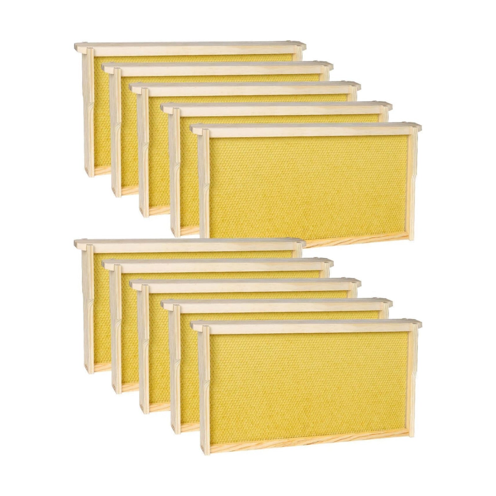10 Pack Bee Frames Deep - Bee Hive Frames and Wax Foundations Yellow Beehive Frams