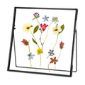 REDHUGO Double Glass Frame for Pressed Flowers, Square, Black, 6x6 Inches