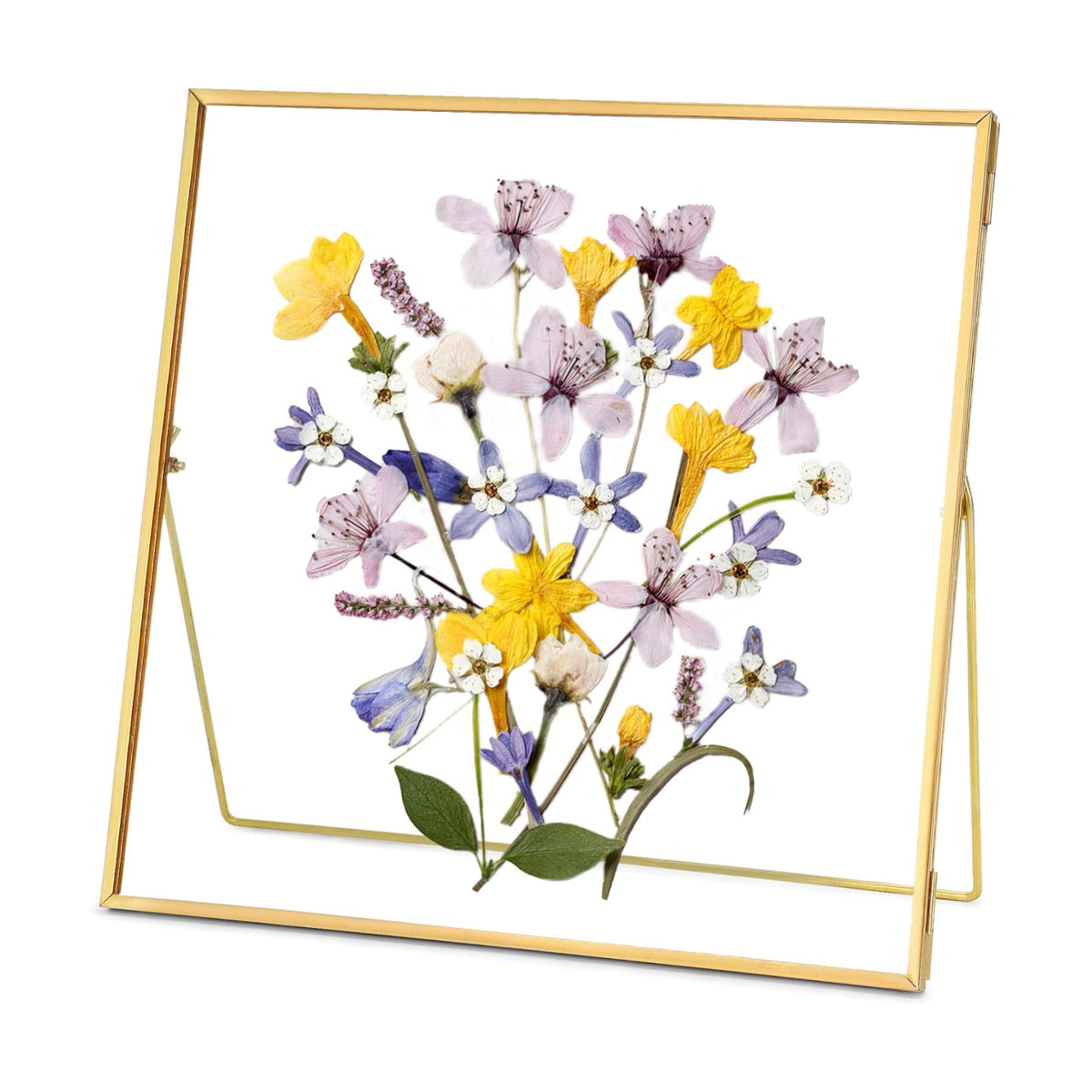 REDHUGO Double Glass Frame for Pressed Flowers, Square, Gold, 10x10 Inches