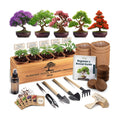 Bonsai Tree Kit Deluxe - Growing 5 Unique Japanese Bonzai Trees | Complete Indoor Bonsai Starter Kits for Growing Trees