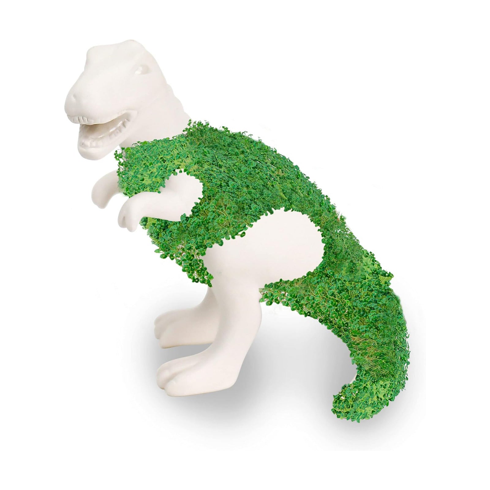 Gift Republic Dinosaur Shaped Chia Planter. Desktop Sprouting Chia Animal. Fun Grow Kit - Chiasaurus Rex