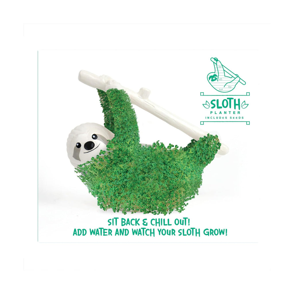 Sloth Shaped Chia Planter and Seeds. Desktop Sprouting Chia Animal. Fun Grow Kit Gift Idea