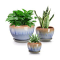 AVLA 3 Pack Ceramic Plant Pots, Gardening Drip Glazed Planters, Decorative Flower Pot with Drainage Hole and Saucer