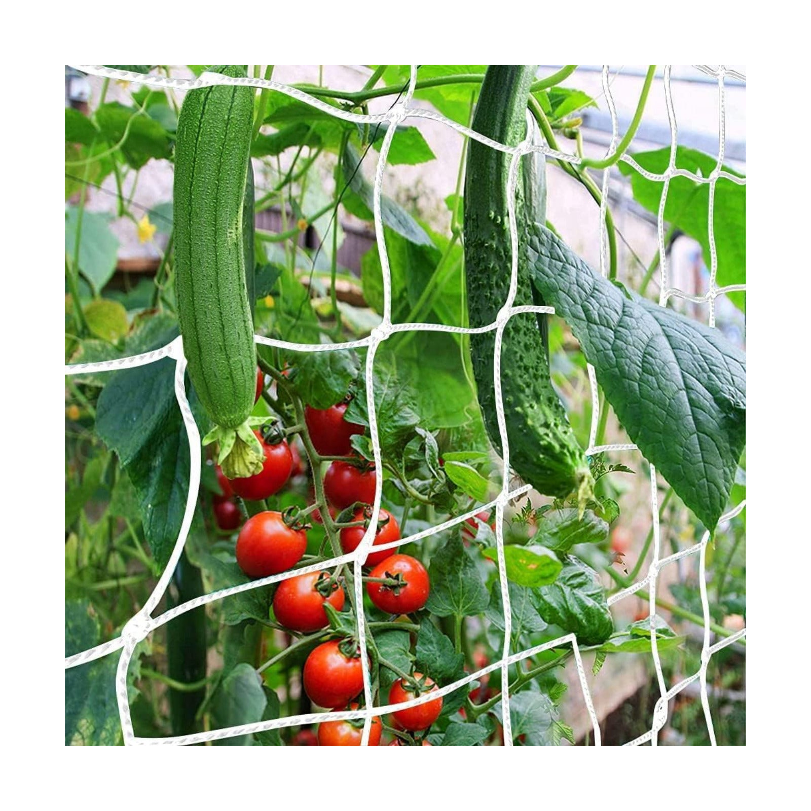 Trellis Netting, CANAGROW Heavy-Duty Garden Plant Trellis Netting for Climbing Plants, Outdoor Indoor Grow Net for