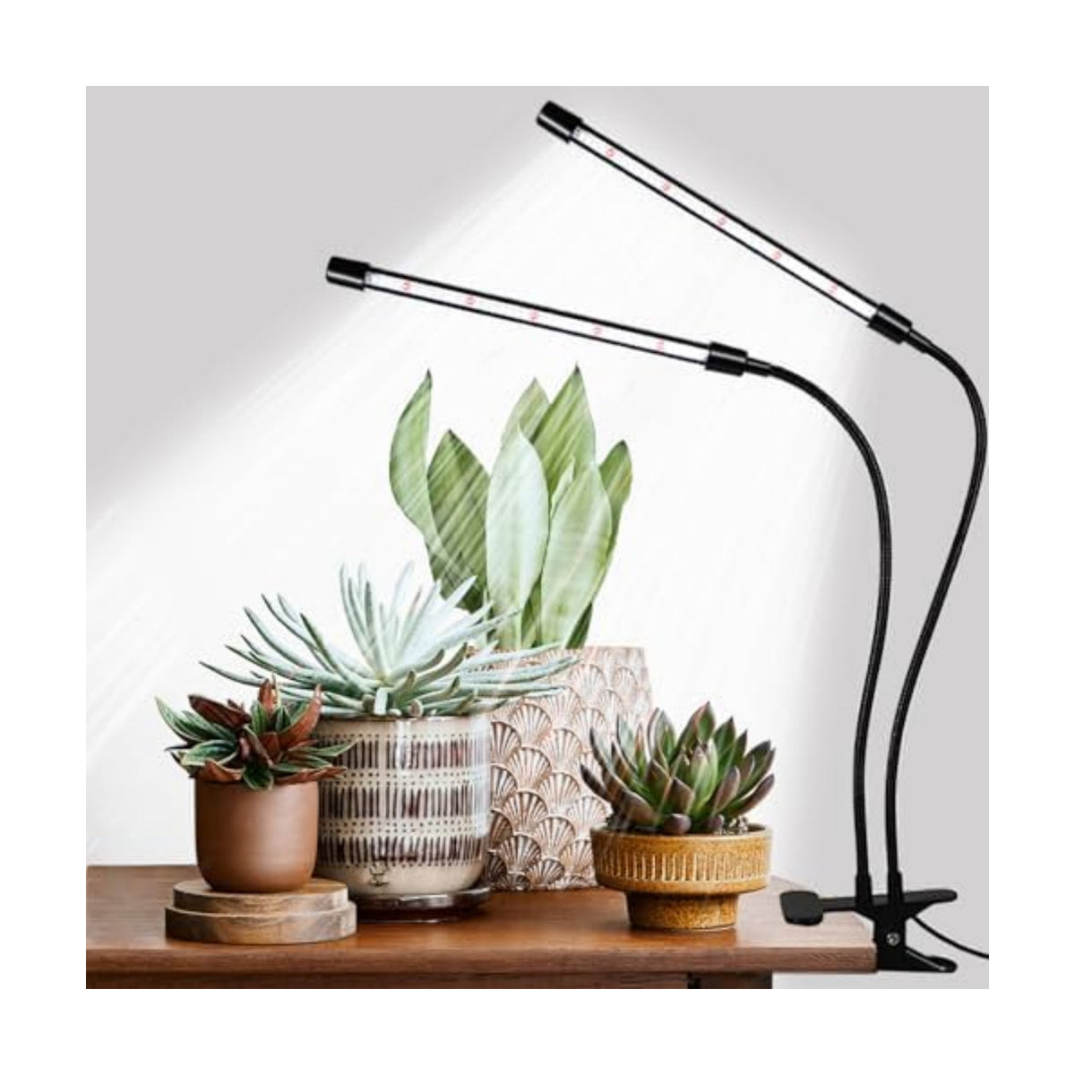 Hywyimlait Grow Lights for Indoor Plants, 84LEDs Clip Plant Lights, Full Spectrum LED Plant Growing Lamps with FlexibleGooseneck4/8/12/18H Timer, 3 Spectral Modes, 10 Dimmable Levels (1 Pack)