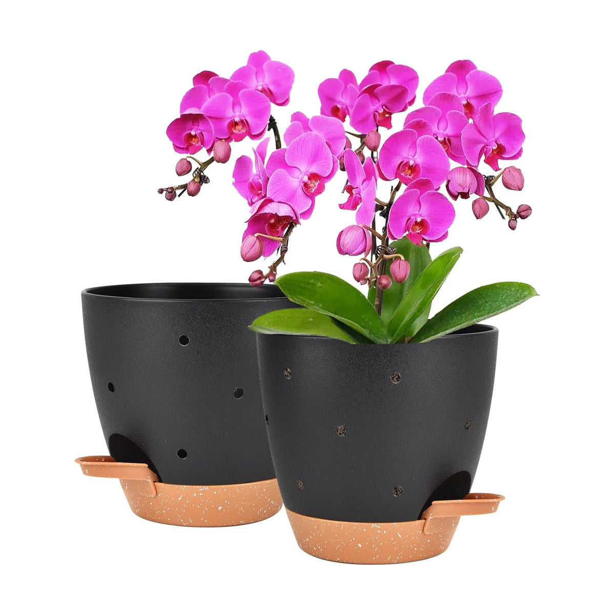 Vanslogreen 6 Inch Orchid Pots with Holes, 2 Pack Self Watering Planters for Orchids Plastic Orchid Pot Plant Flower Pots for Orchids Indoor Outdoor (Black with Brown)