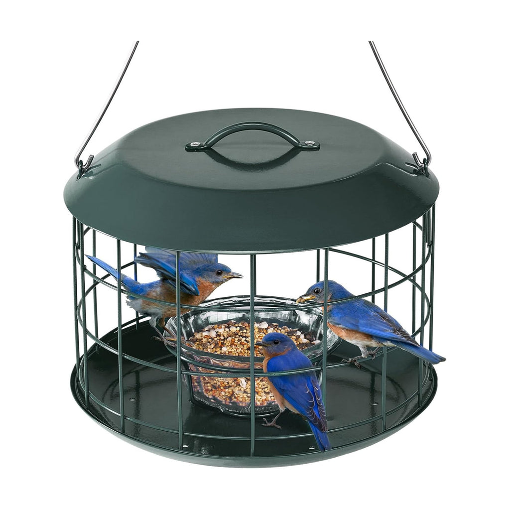 Kingsyard Bluebird Feeders for Outdoors Hanging