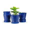 EFISPSS Ceramic Plant Pots, 5Inch Pots for Indoor Plants, Planters with Drainage Holes and Ceramic Tray,Plant Lover