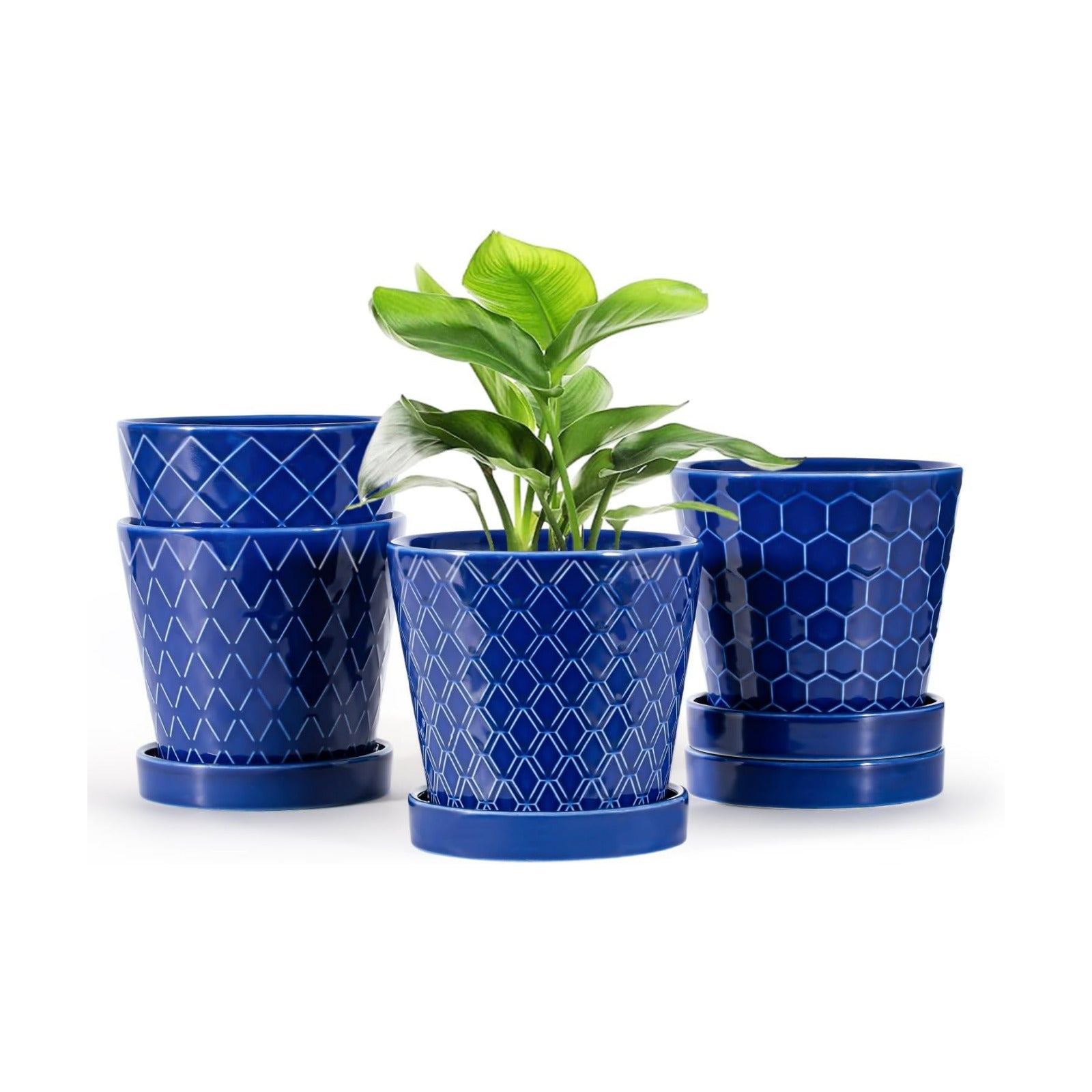 EFISPSS Ceramic Plant Pots, 5Inch Pots for Indoor Plants, Planters with Drainage Holes and Ceramic Tray,Plant Lover