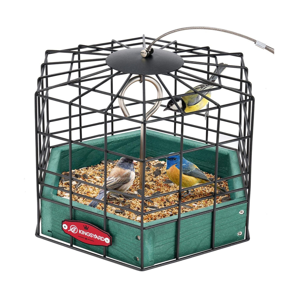 Kingsyard Squirrel Proof Platform Bird Feeder
