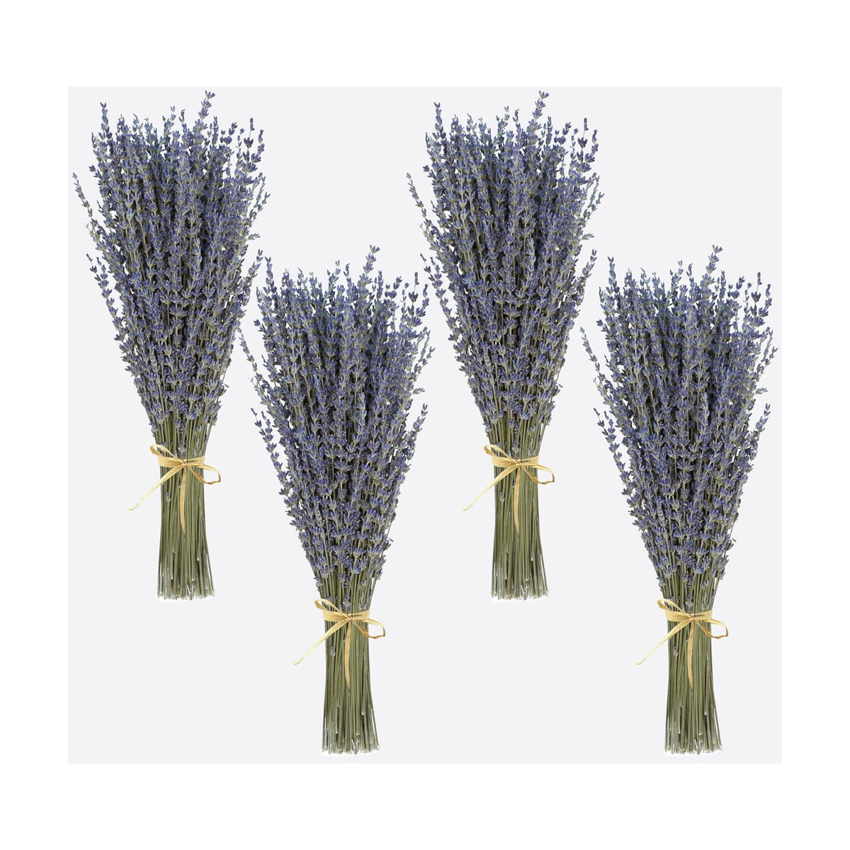 Dried Lavender 4 Bunches 100% Fresh Natural Purple Bouquet Flowers for Bathroom Photo Props Crafts (200g/7oz), 15-17" for Shower Weeding Vase Decor, Aromatherapy Home Fragrance(400-440 Stems Total)