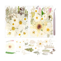 50Pcs Dried Pressed Flowers Real Pressed Flowers Natural Dry Leaves Bulk Mixed Colorful Herbs Kit with Tweezers for Scrapbooking DIY Candle Jewelry Crafts Making Nails (White)