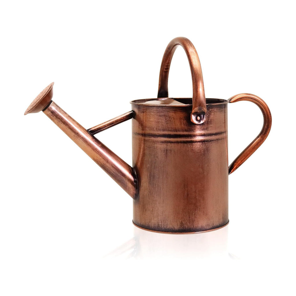 Metal Watering Can with Removable Spout, Galvanized Watering Can, Perfect for Indoor Use and for Outdoor Use (1