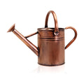 Metal Watering Can with Removable Spout, Galvanized Watering Can, Perfect for Indoor Use and for Outdoor Use (1