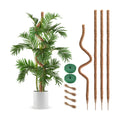 4 Pack Moss Pole 63 Inch Monstera Plant Sticks Support Tall Long Stakes | Climbing Indoor Large Bendable Handmade DIY