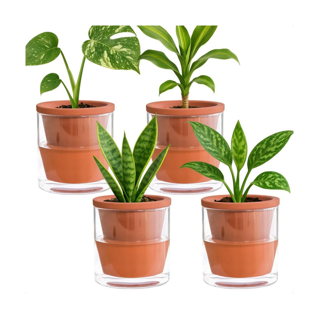 D'vine Dev Self Watering Terracotta Planter Pot, 4 in, 4-Pack, 37-Z-A-1-F | Terracotta & Glass Design, Clear Water