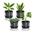 D'vine Dev Self-Watering Black Terracotta Planter, 4 in, 4-Pack, 37-Z-A-3-F | Terracotta & Glass Design, Clear Water