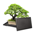 KEOHOLI 2 Packs Bonsai Humidity Plant Tray Drip Trays, Square Plastic Pot Saucer Draining Tray for Indoors Outdoors for Cactus, Succulents, Bonsai Tree, Stone to Drain, Protect, Decorate(11.4*8.4Inch)