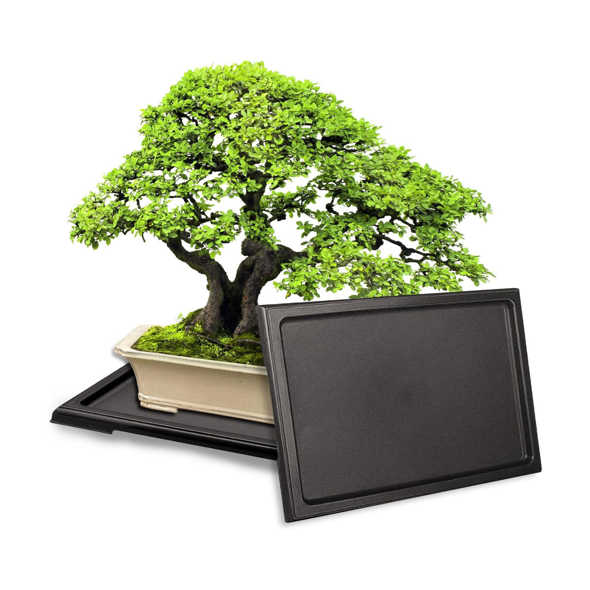 KEOHOLI 2 Packs Bonsai Humidity Plant Tray Drip Trays, Square Plastic Pot Saucer Draining Tray for Indoors Outdoors for Cactus, Succulents, Bonsai Tree, Stone to Drain, Protect, Decorate(11.4*8.4Inch)