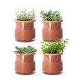 Phoenix Vine 4 Inch Self Watering Plants Pot, Design Terracotta Pot for Plants, Indoor Cylinder Terra Cotta Planter