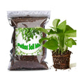 Doter Organic Pothos Soil Mix 10qt, Indoor Plants Potting Mix for All Potted Pothos, Grow Healthy houseplants Indoors